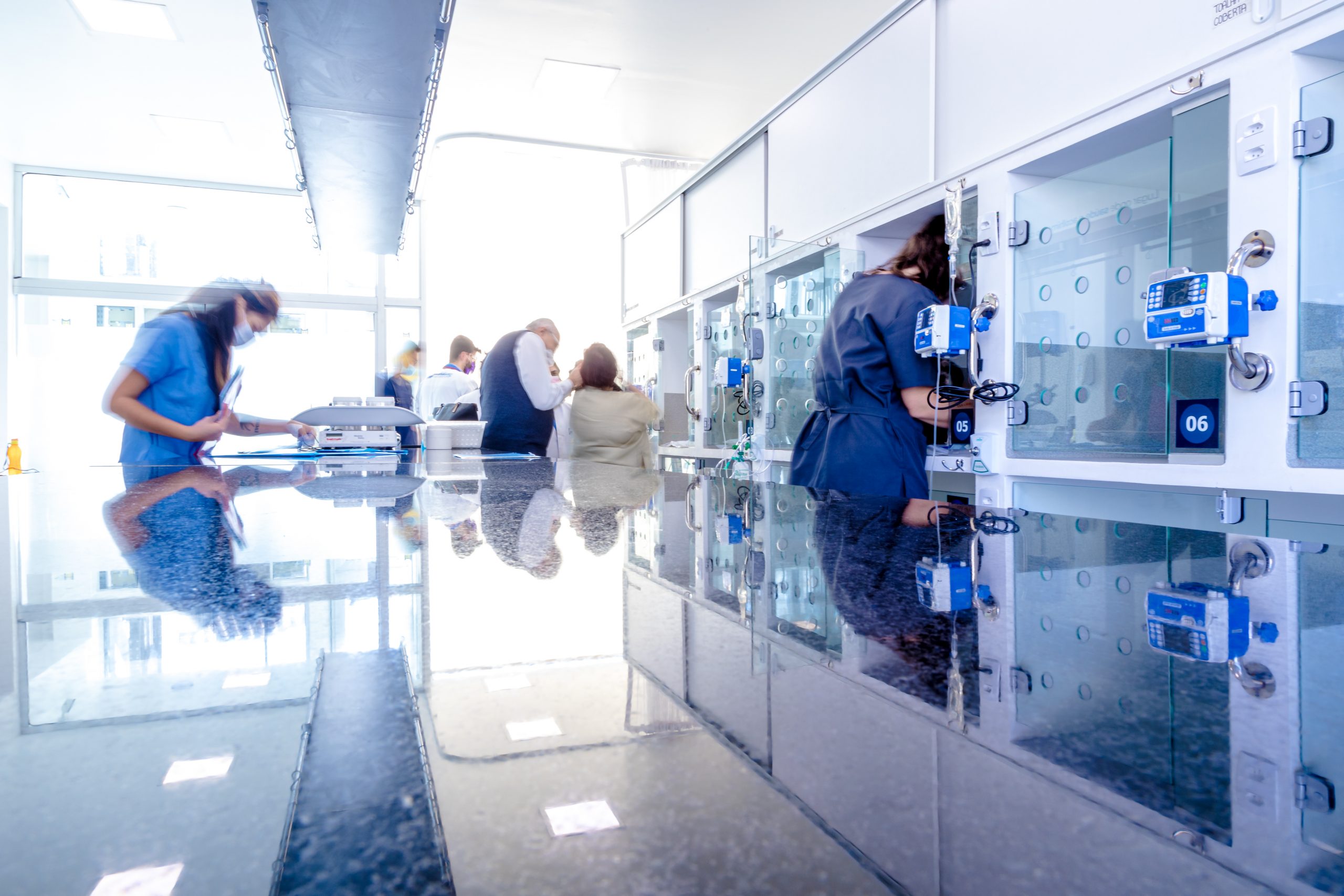 internação veterinária