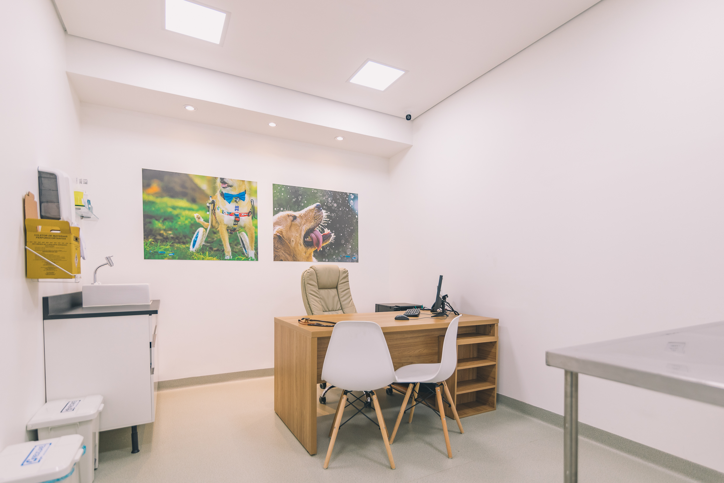 consultorio veterinario