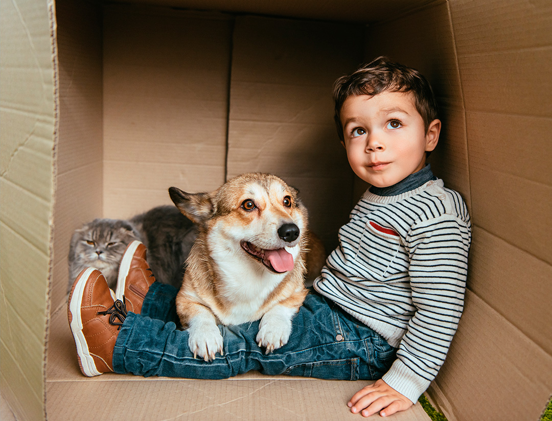 Dia do Amigo: relação de afeto entre tutor e cão gera bem-estar