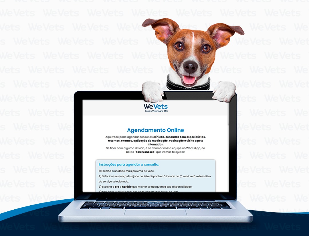 Mais comodidade para você e seu Pet!