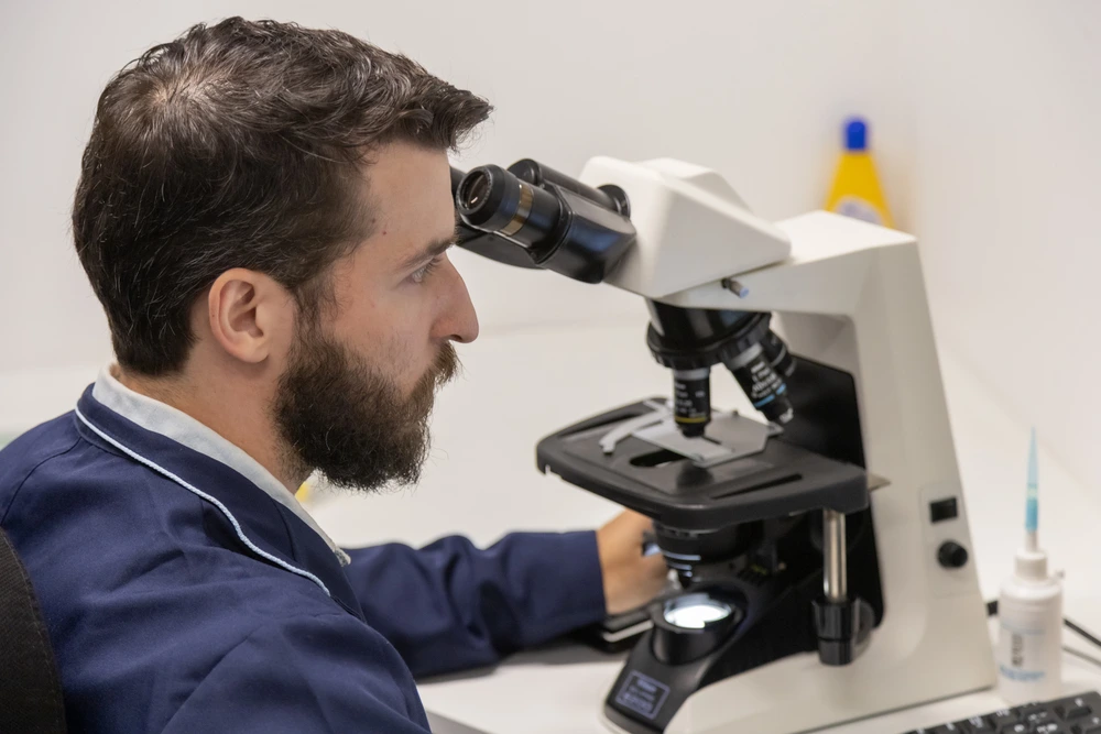 Dirofilaria immitis: Tudo sobre o Verme do Coração