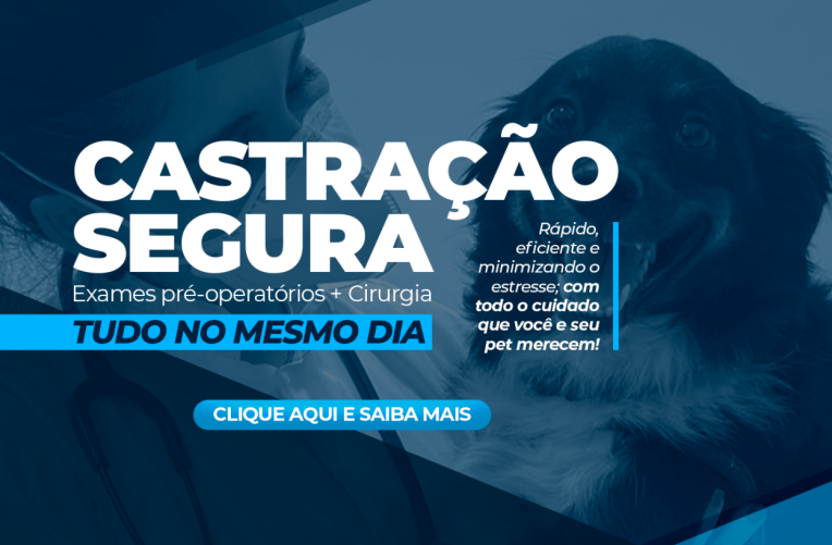 Castração em Pets: Um Guia Completo para Cães e Gatos