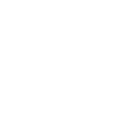 Icon Especialistas alterado