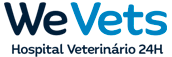 We Vets Logo