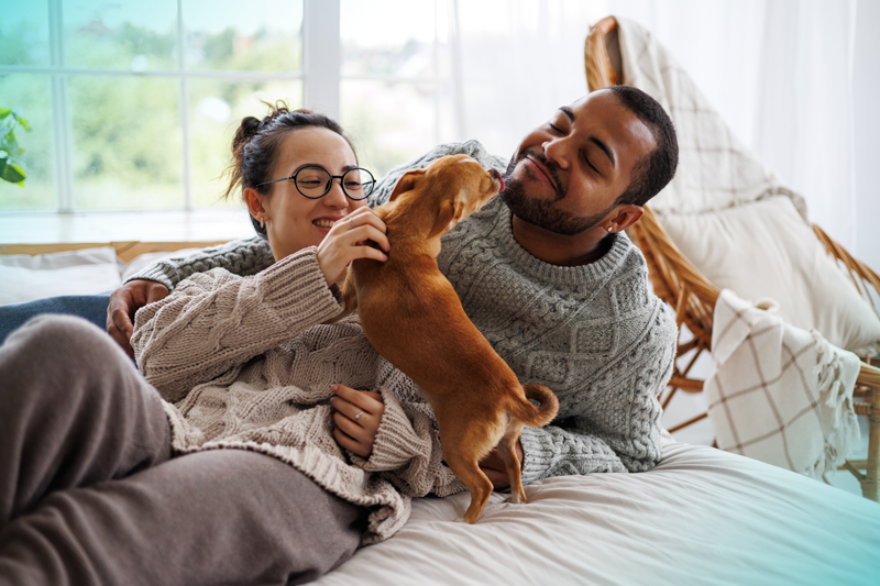 WeVets lança a rede credenciada: mais cuidado e acesso para você e seu pet