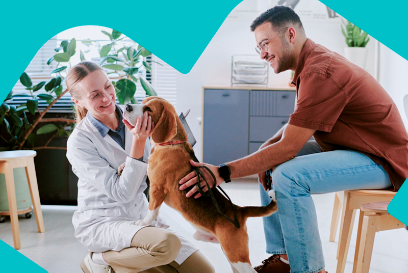 Descontinuação dos Planos Master e Premium WeVets: entenda suas opções